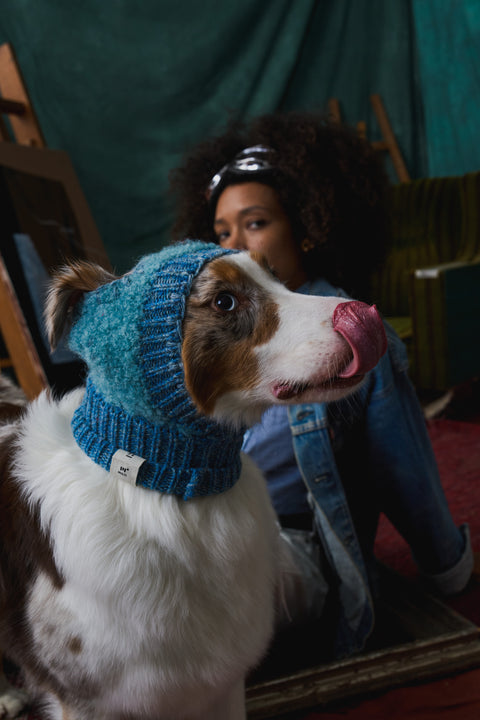 402 knit dog wizard hat