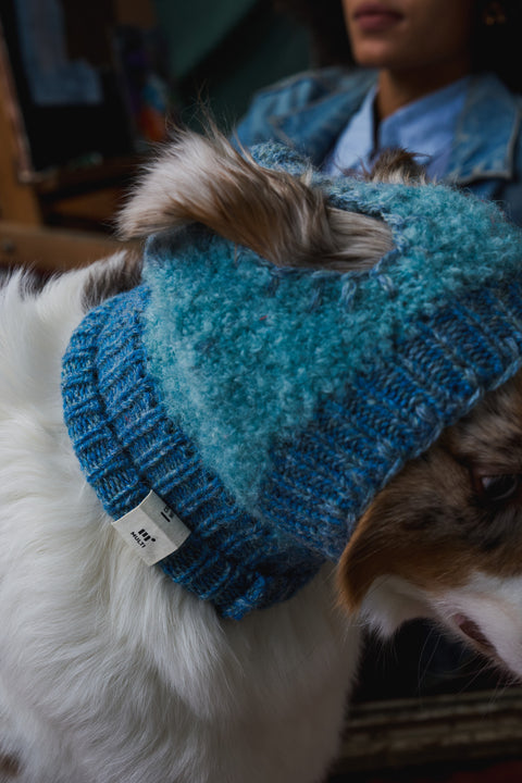 402 knit dog wizard hat
