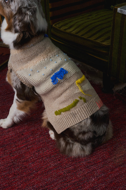 405 Pet Multipe Intarsia knitwear with hand embroidery