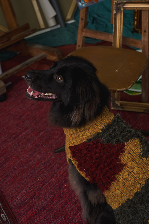 407 Pet Knitwear Cable & Furry Intarsia