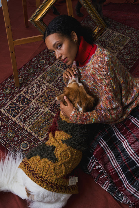 407 Pet Knitwear Cable & Furry Intarsia