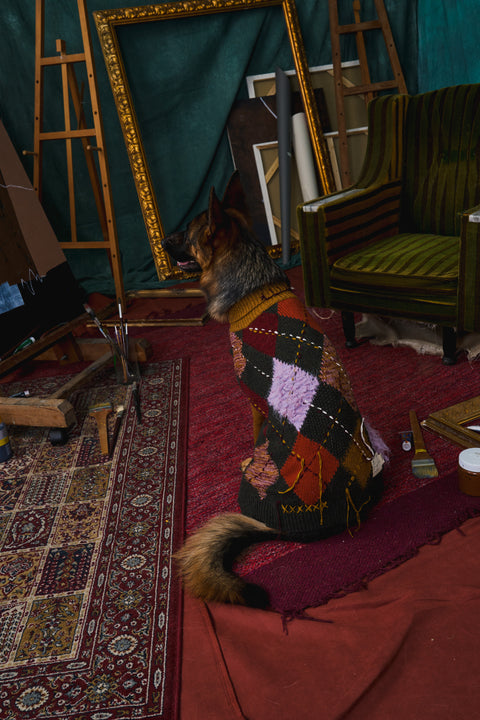 408 Multi-Yarn Intarsia Pet Knitwear with Hand Embroidery