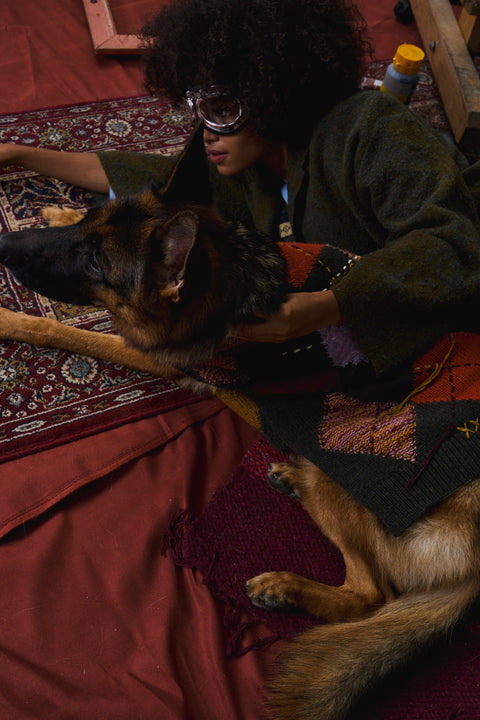 408 Multi-Yarn Intarsia Pet Knitwear with Hand Embroidery