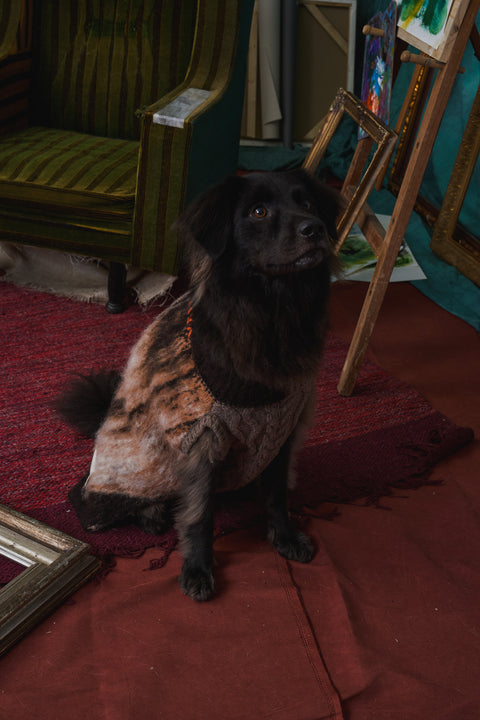 409 Jacquard & Cable Patch Pet knitwear