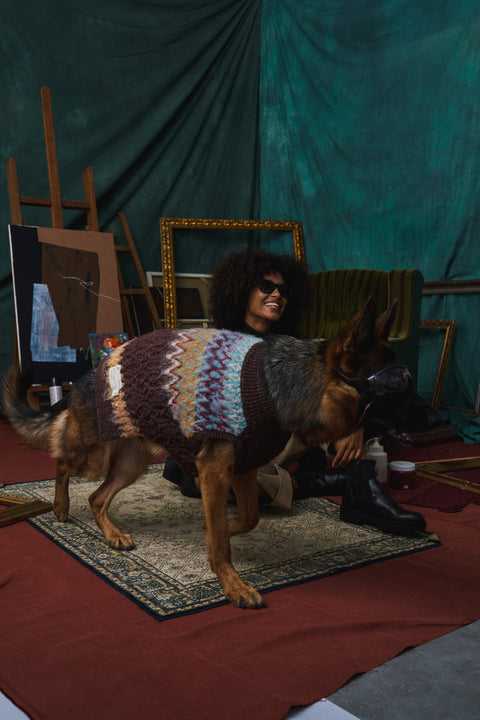 410 Retro Furry Yoke Jacquard Pet Knitwear