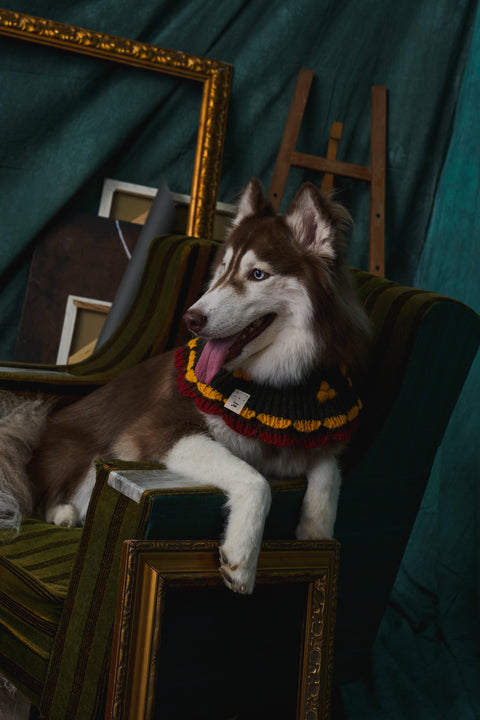 415 Double Layer Ruffle Pet Neck Warmer
