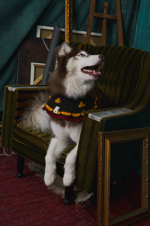 415 Double Layer Ruffle Pet Neck Warmer