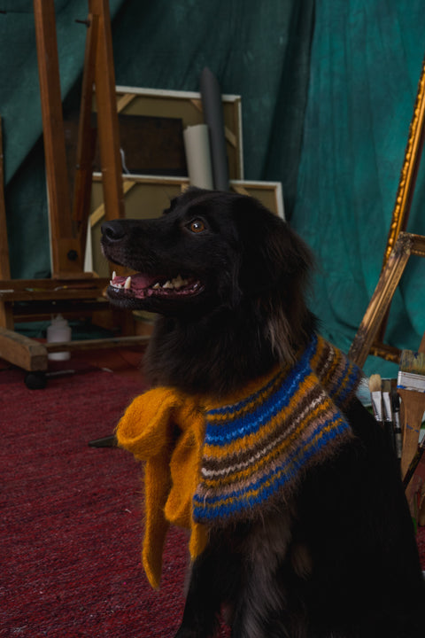 417 Alpaca hairy ruffle pet neck warmer