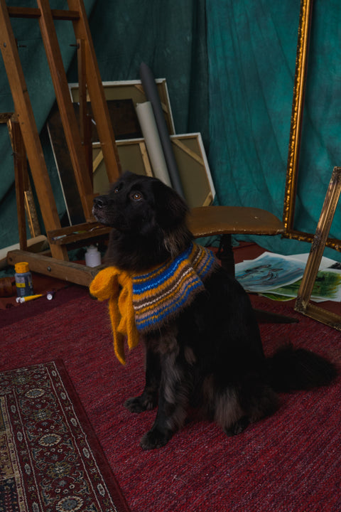 417 Alpaca hairy ruffle pet neck warmer
