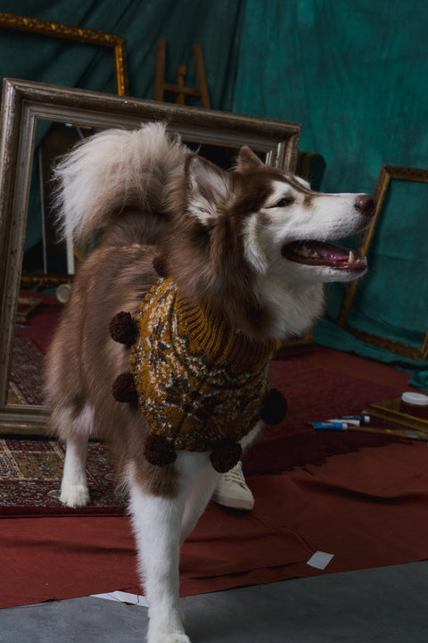 418 Wool Retro Pet Neck Warmer