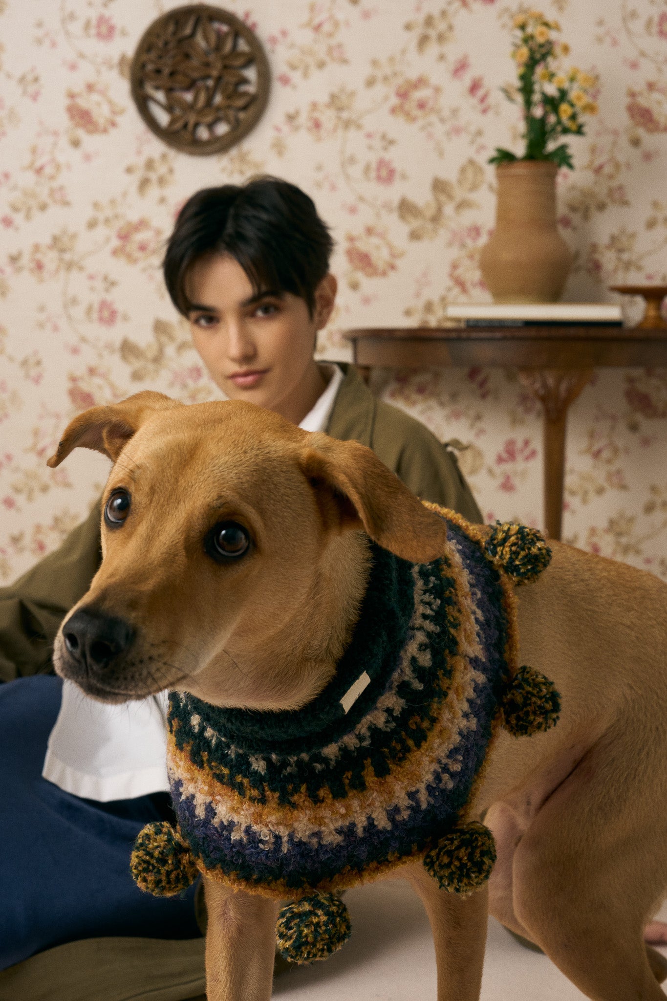 MULTI LAB | Pet Knitwear Workshop