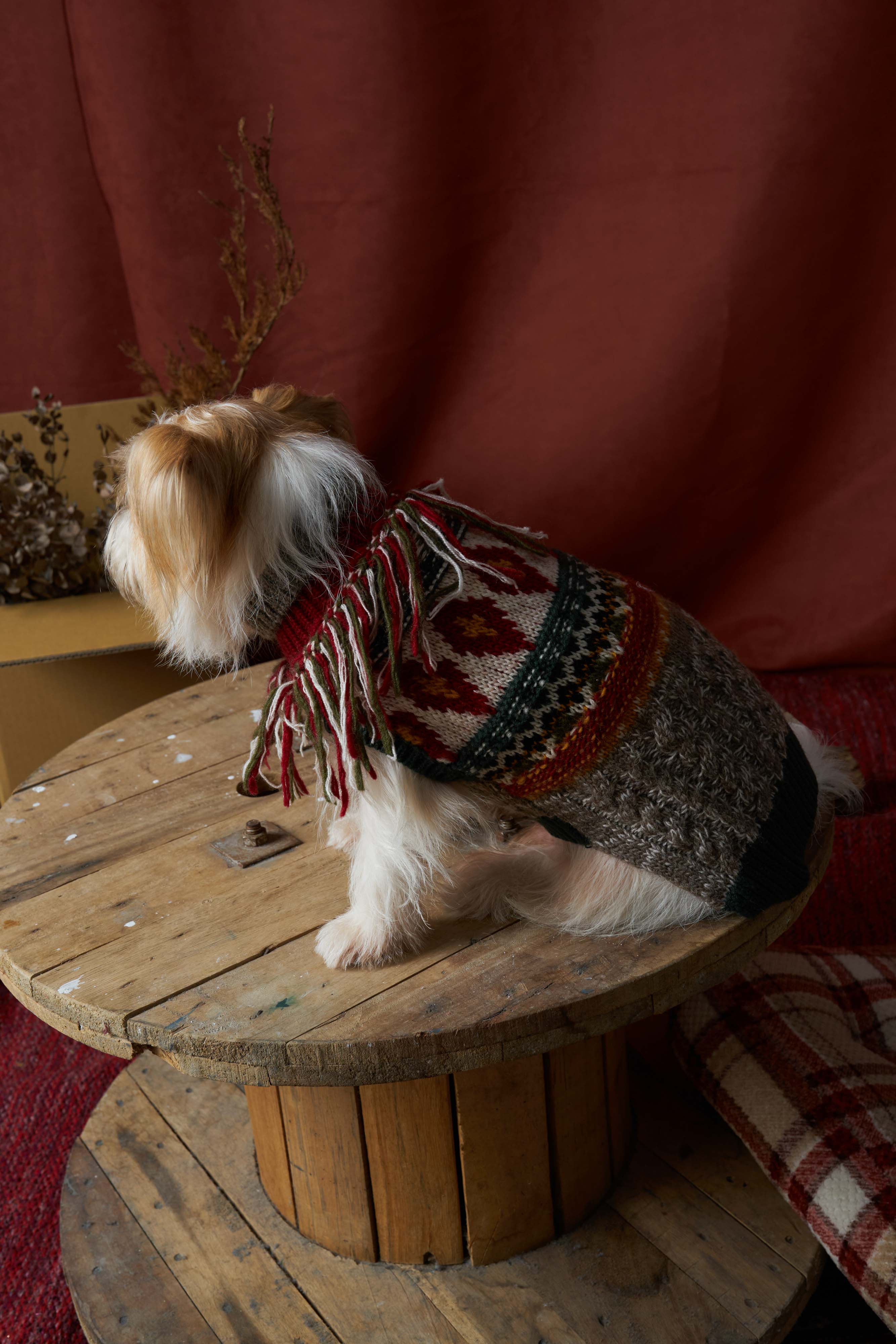 MULTI LAB | Pet Knitwear Workshop